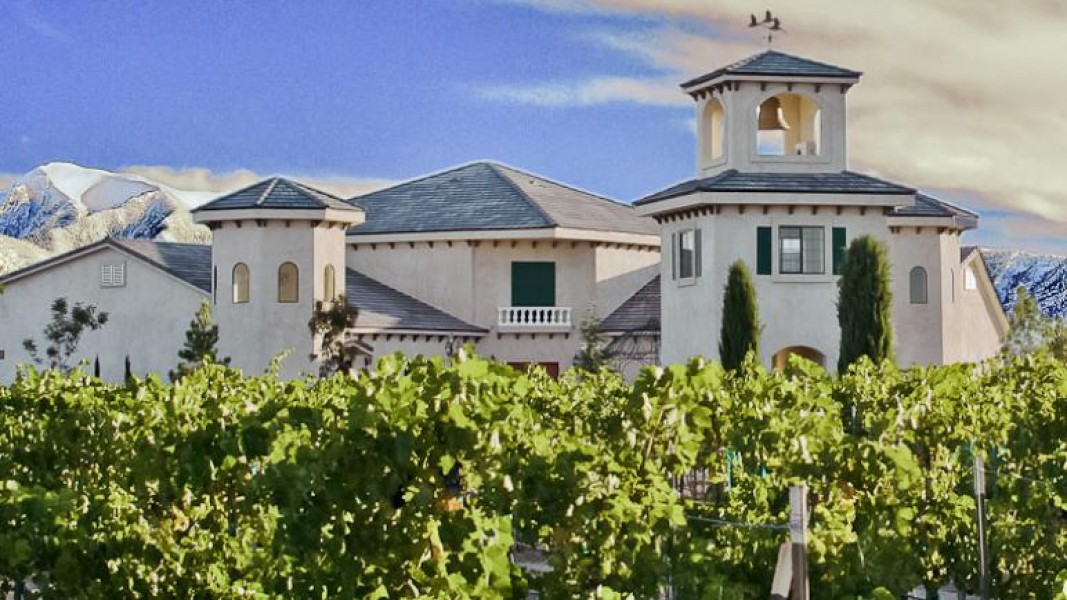 Wine Reviews For The Average Wine lover The Desert WIne Guy Sanders