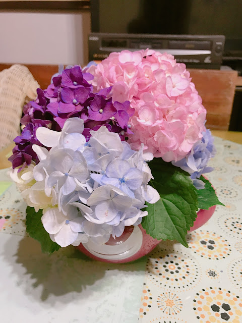 2017, summer 走吧去陽明山竹子湖看繡球花