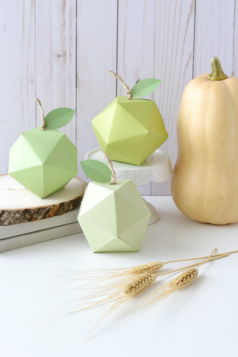 Aly Dosdall geometric paper apples