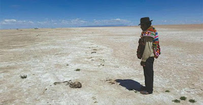 Muere el segundo lago más grande de Bolivia.