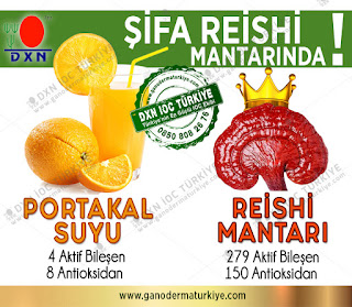 dxn dxn nedir dxn urunleri nelerdir