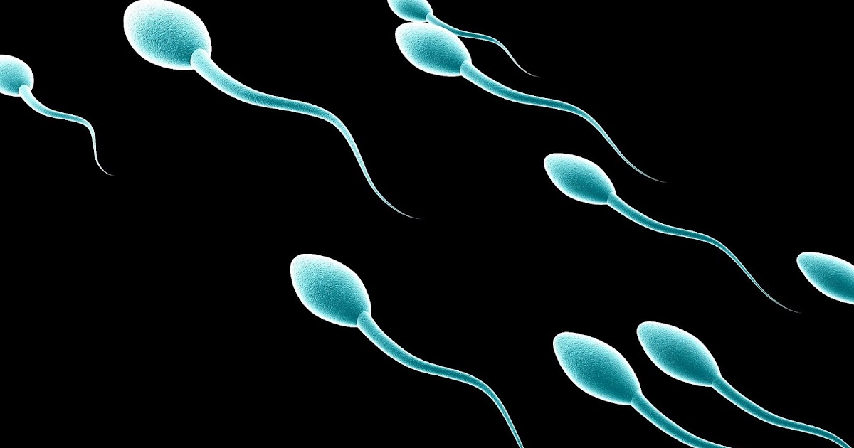 Клиники спермы онлайн
