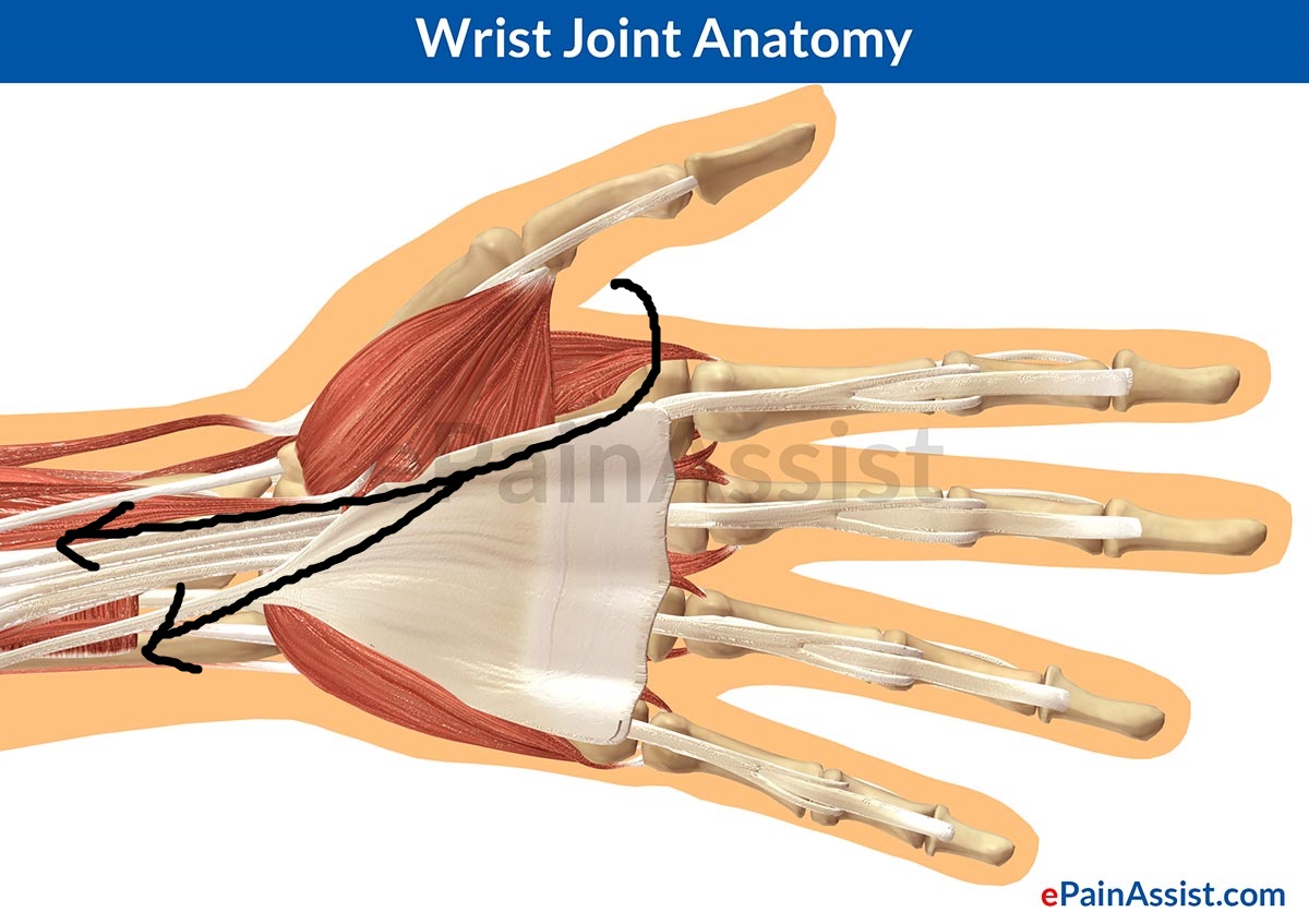 climbjudtravels Fixing the wrist