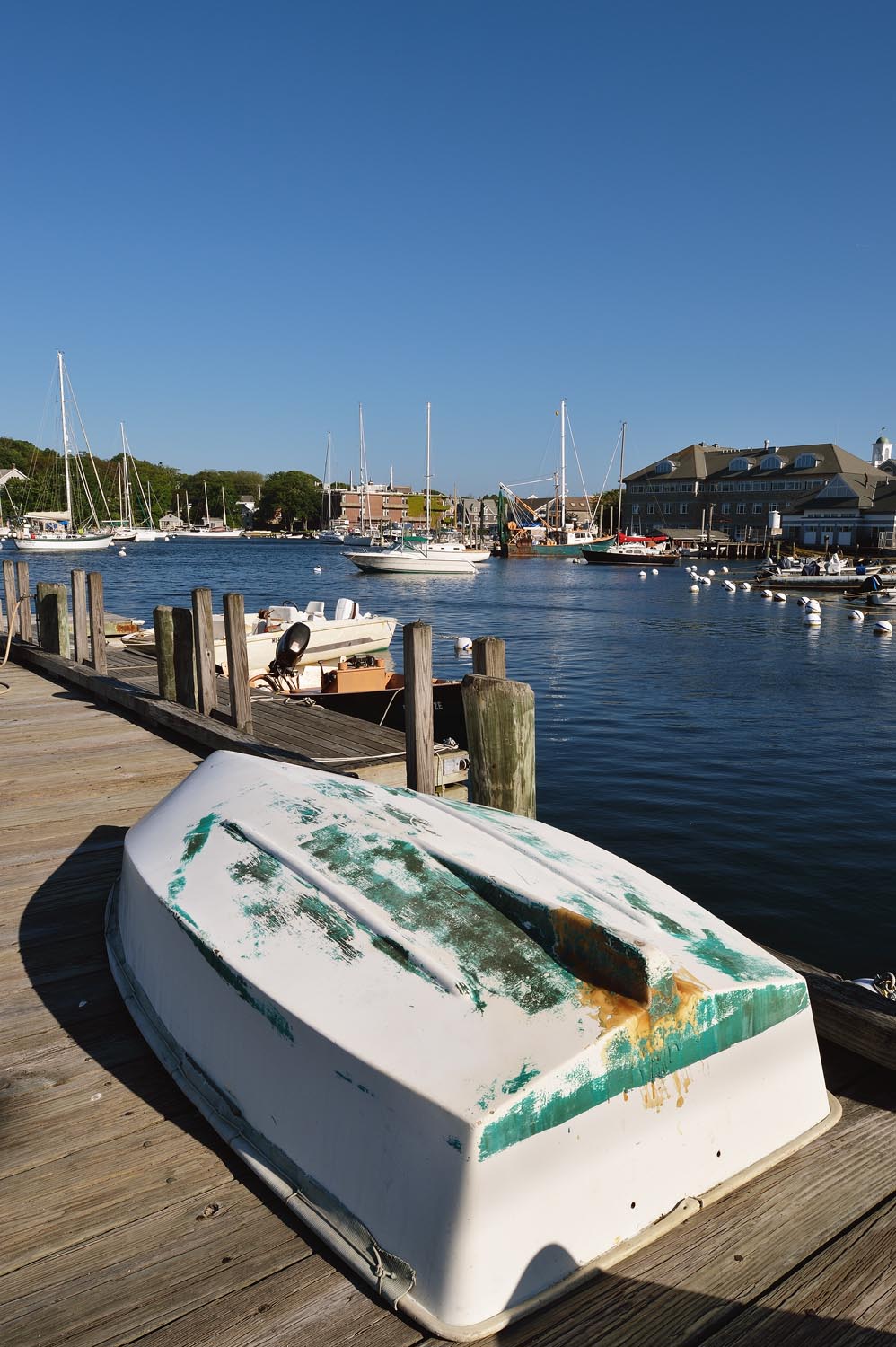 The Amazing Life Woods Hole, Cape Cod