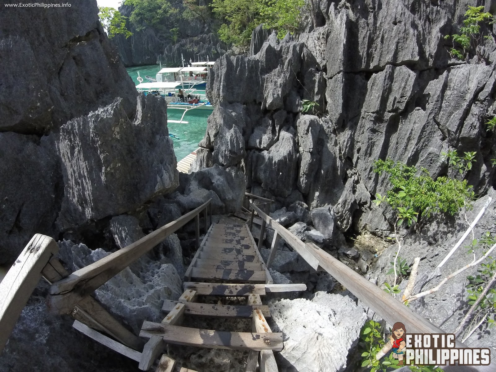Exploring Barracuda Lake of Coron Palawan Exotic Philippines Travel Blogger and Blog