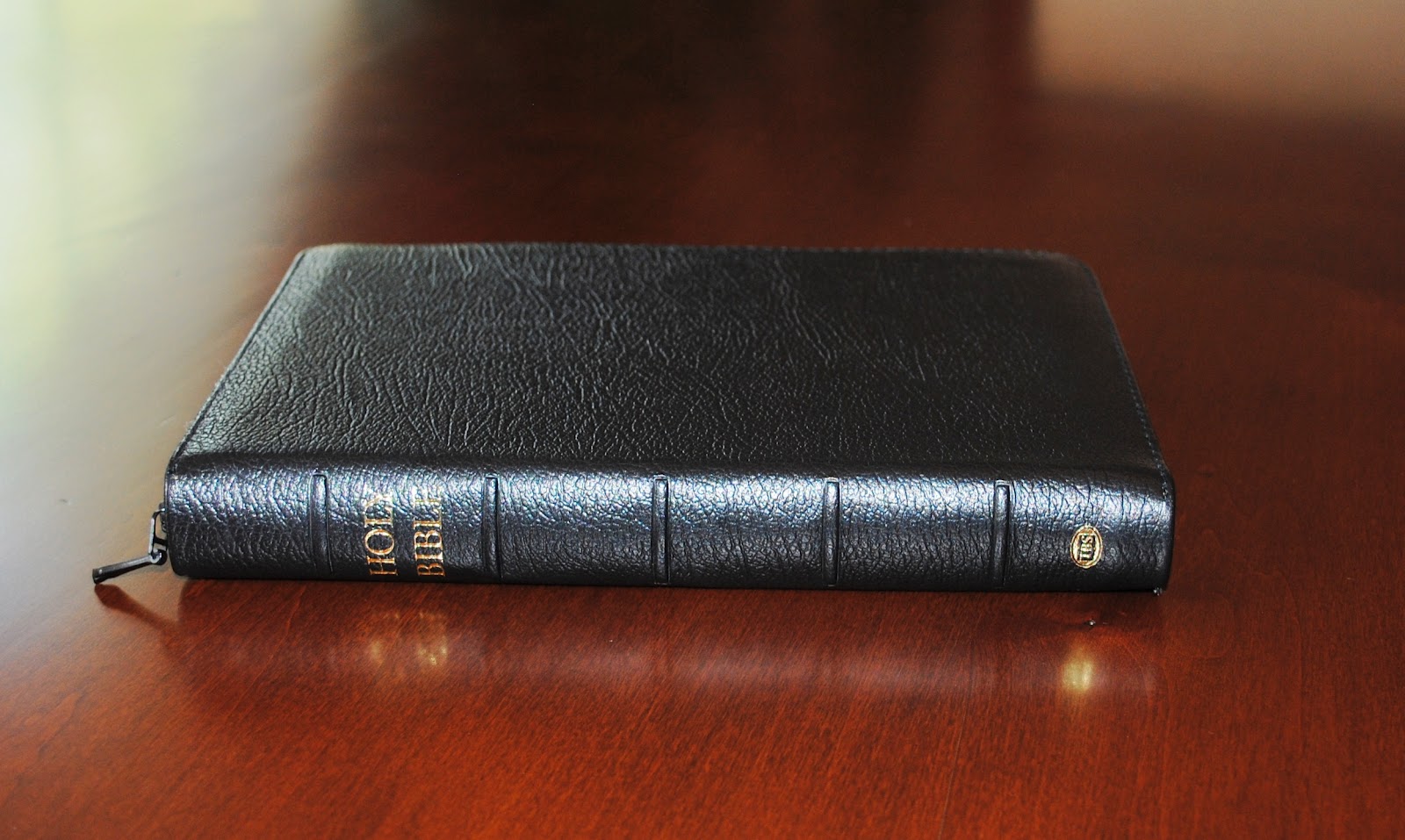 The Musings of a Christian Pilgrim Bible Review TBS Windsor Black