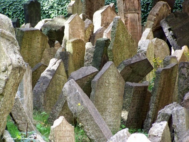 Praga, vecchio cimitero ebraico Praga, vecchio cimitero ebraico