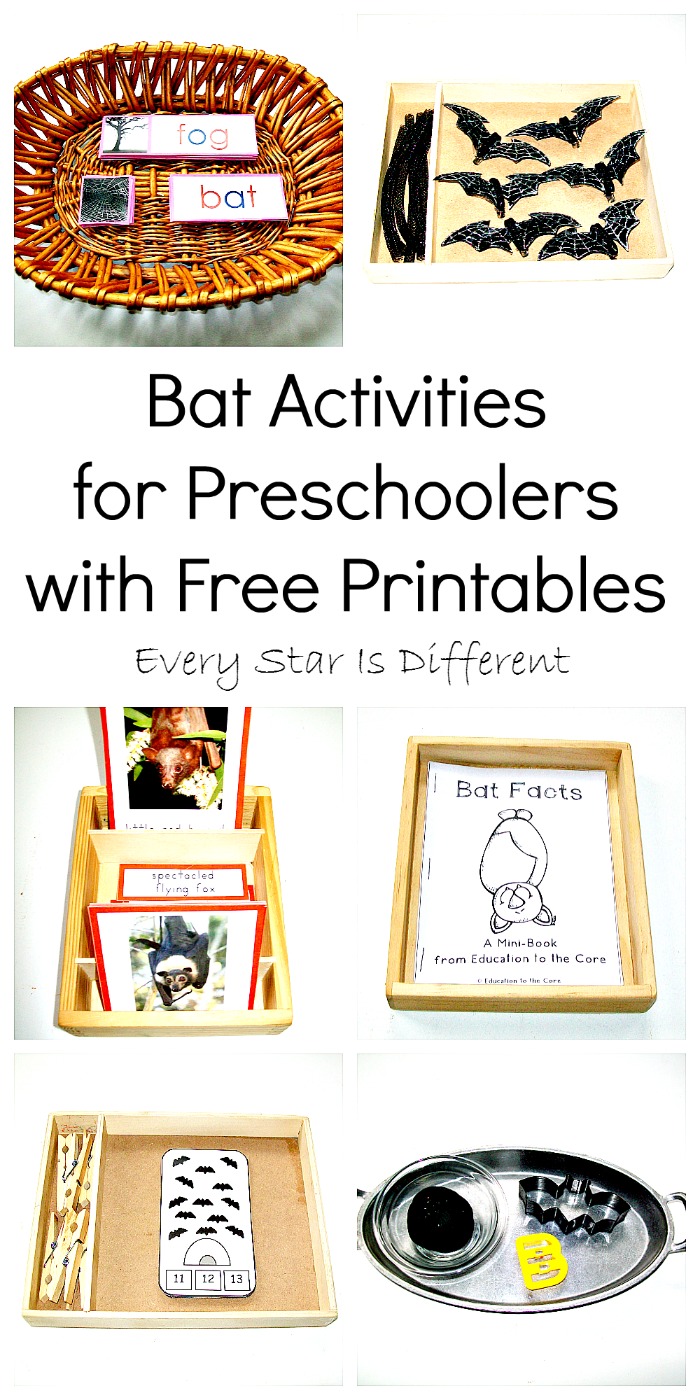 Bat Activities for Preschoolers with Free Printables - Every Star Is