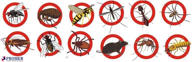 Umraniye Bocek Ilaclama