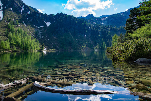 Robert SKREINER - Blog