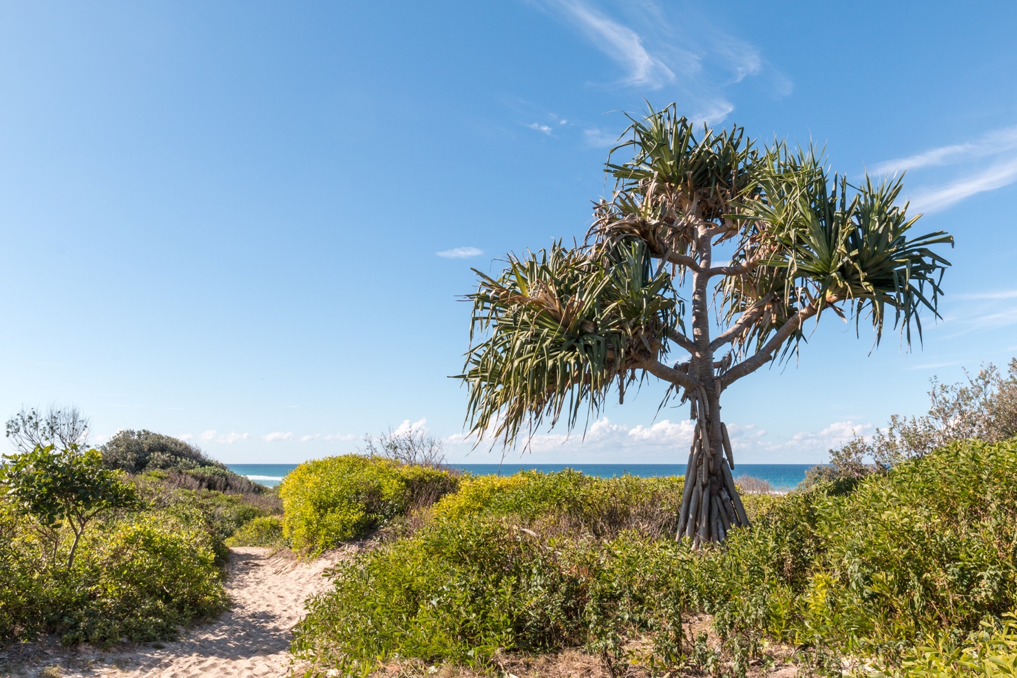 National Park Odyssey Lake Arragan and Red Cliff Campgrounds, Yuraygir National Park, NSW.