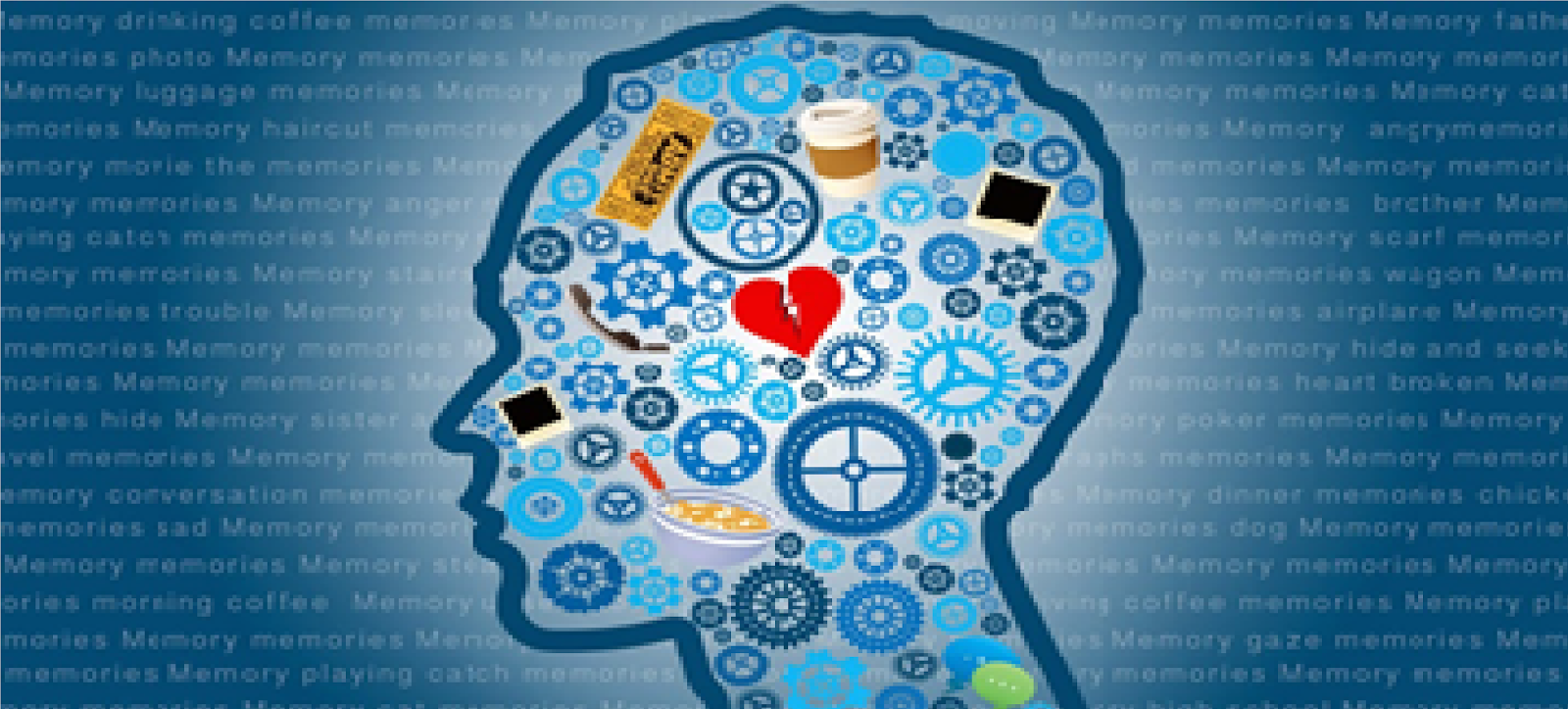 Discriminación de la información 5. Memoria