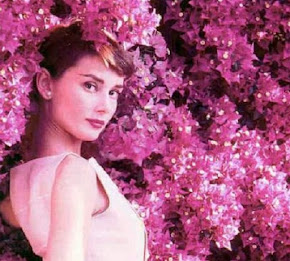 25 años sin Audrey Hepburn: 20 de enero