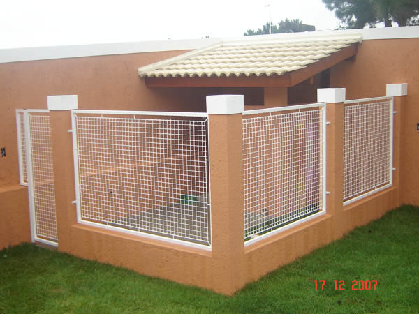 Canil para shih tzu Clearance