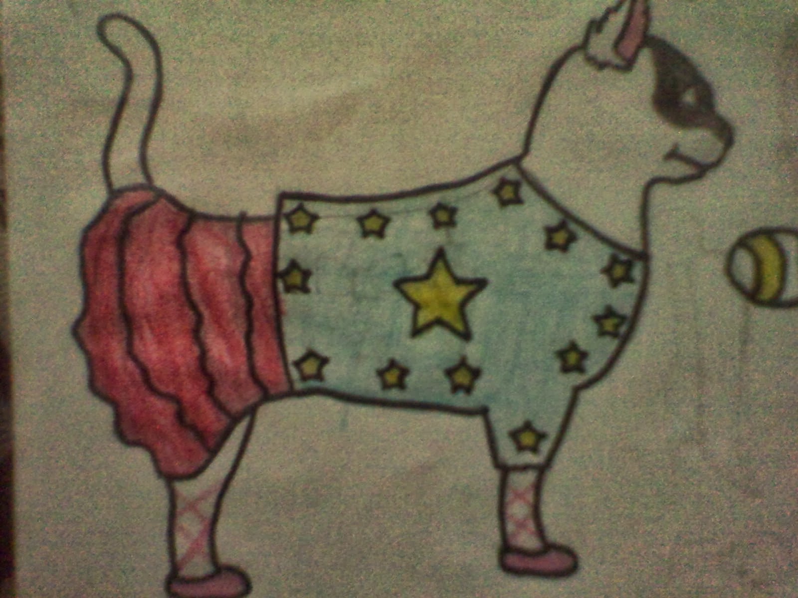 moda çizimleri KEDİ MODASI