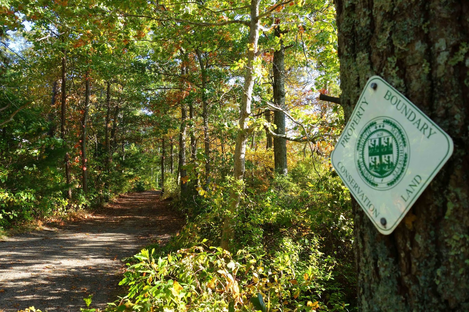 Joe's Retirement Blog Rabbit Pond, Manomet, Plymouth, Massachusetts, USA