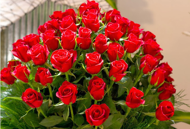 Rose Day Facebook Rose Day Facebook