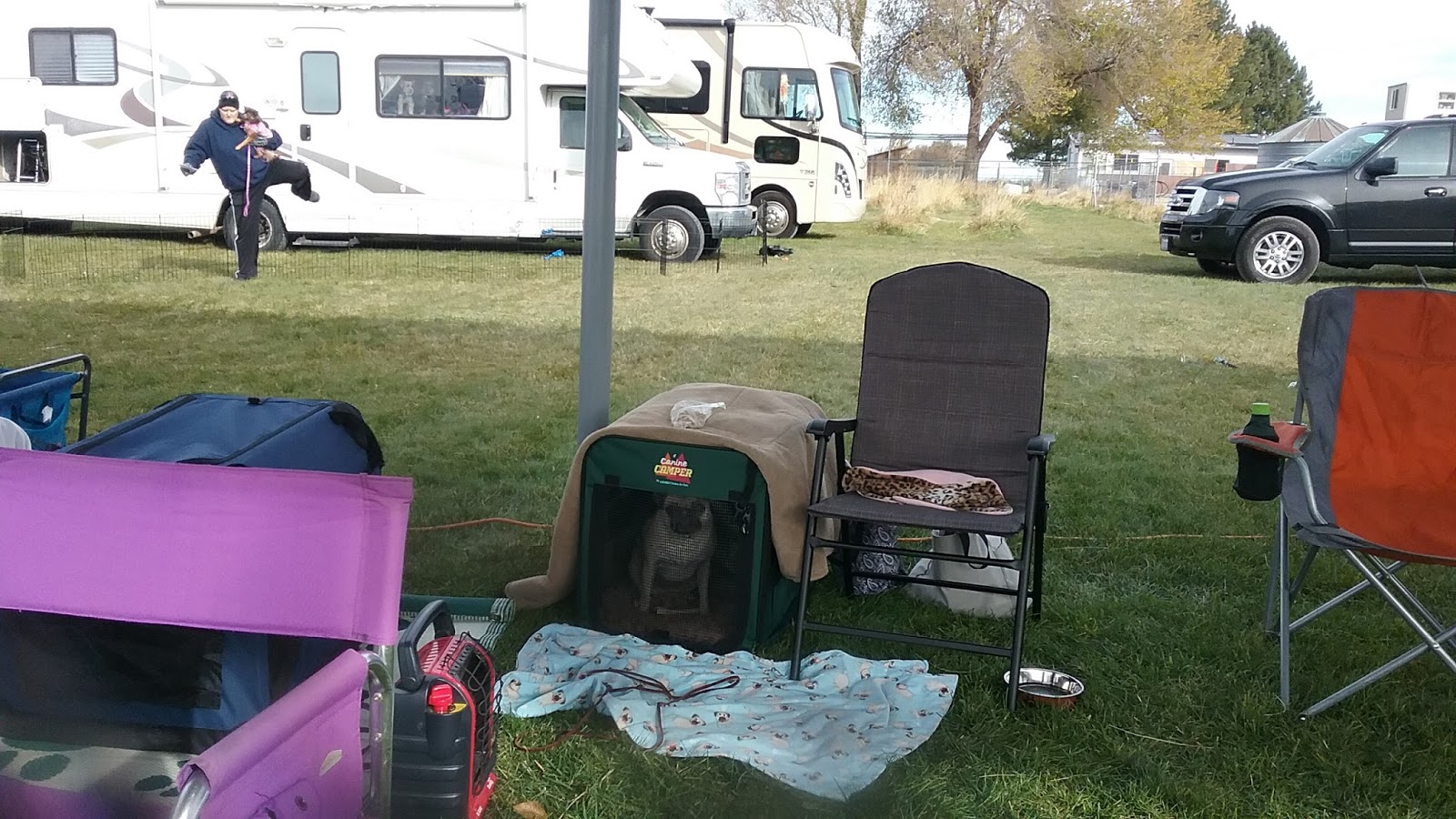 Idaho PugRanch A Tea Cup Weekend