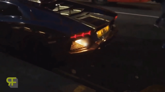 11.gif