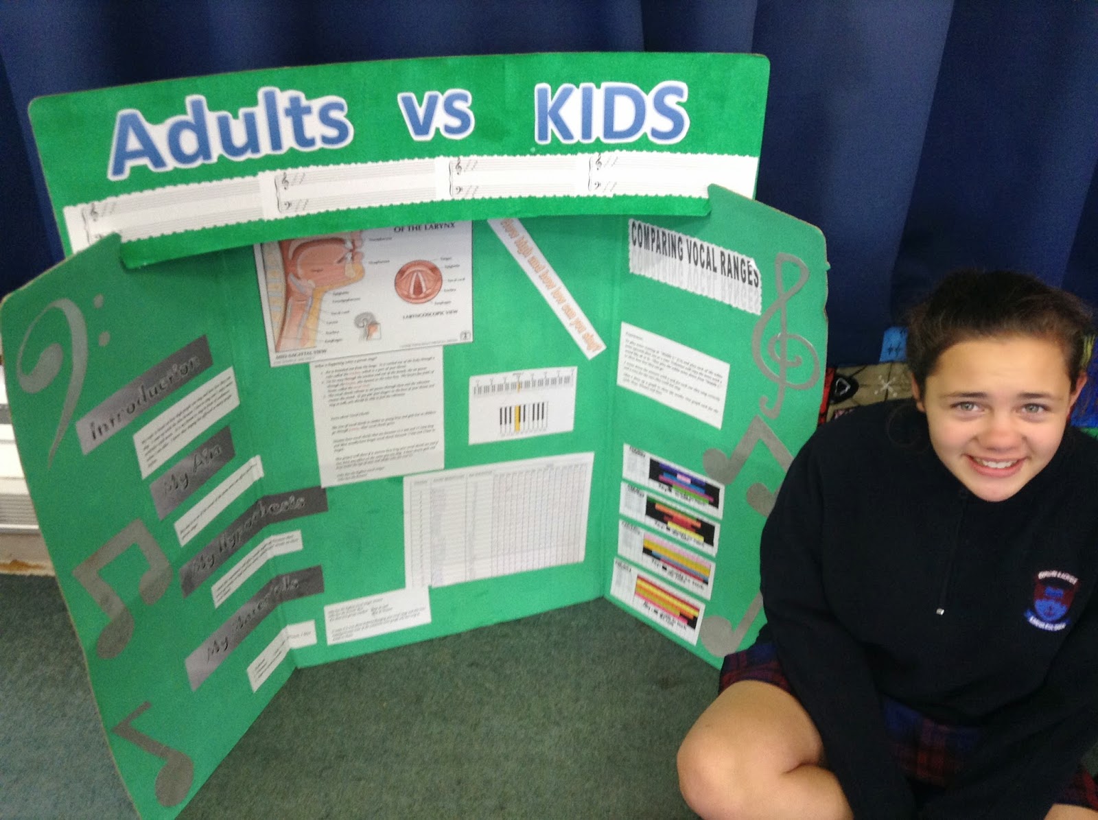 Room Six 2014 Science Fair Boards