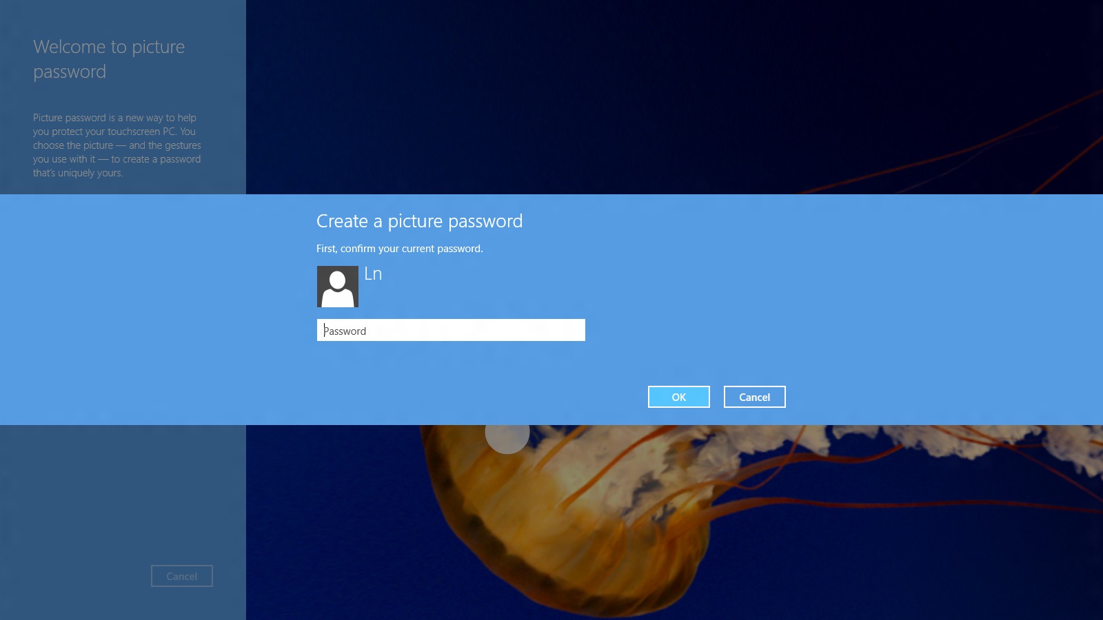 Create Picture Password | SummerDay