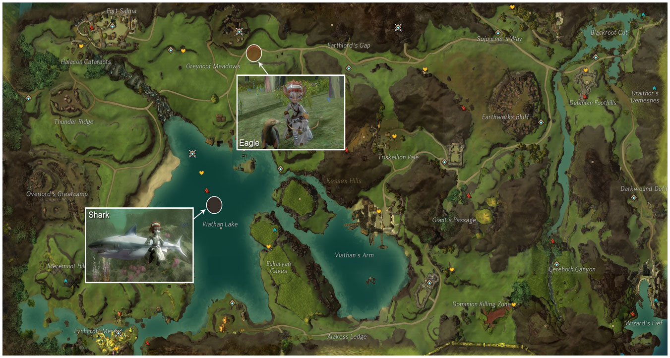 Guild Wars 2 Junkie Pet Locations