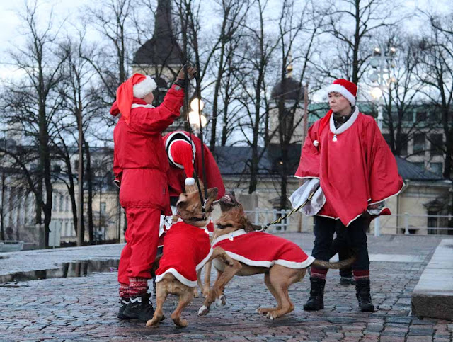Joulukadun avajaisissa saa vilkuttaa kuin prinsessa 4 Joulukadun avajaisissa saa vilkuttaa kuin prinsessa 3