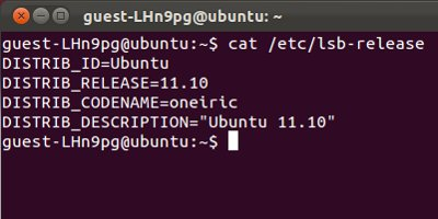 Ubuntu pg. командная строка убунту. Ubuntu 20 install core. линукс рабочий стол ubuntu. Linux ubuntu скрины.