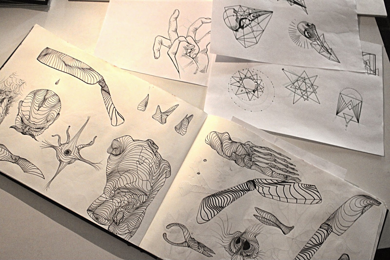 Justine Wynne Gacy November 2013