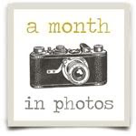 a month in photos