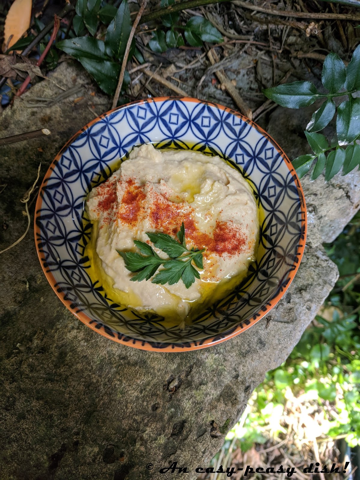 EXPRESS LEBANESE HUMMUS WITH CUMIN