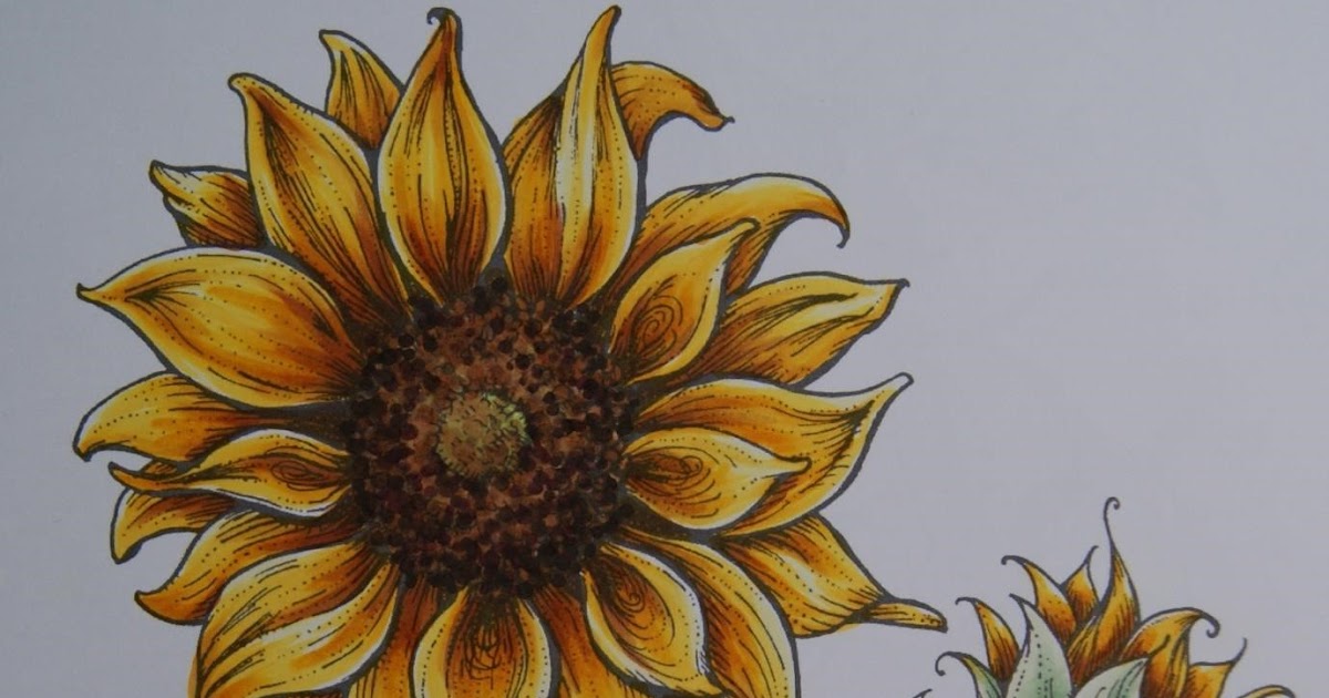 Copic Marker Europe Sunflower Tutorial
