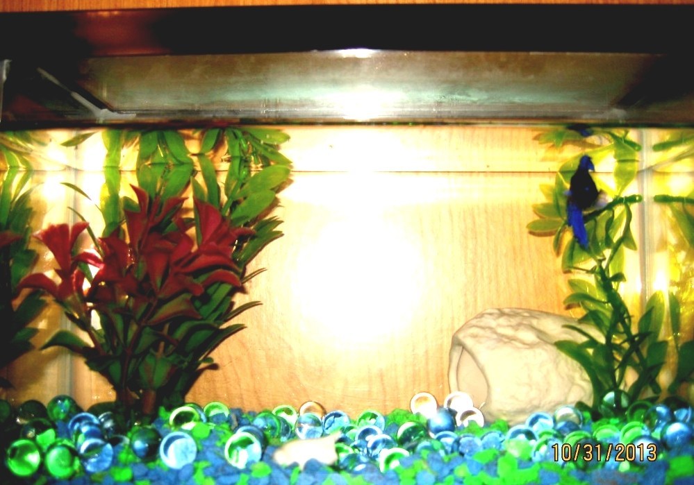 Aquarium Fish Tank Marbles