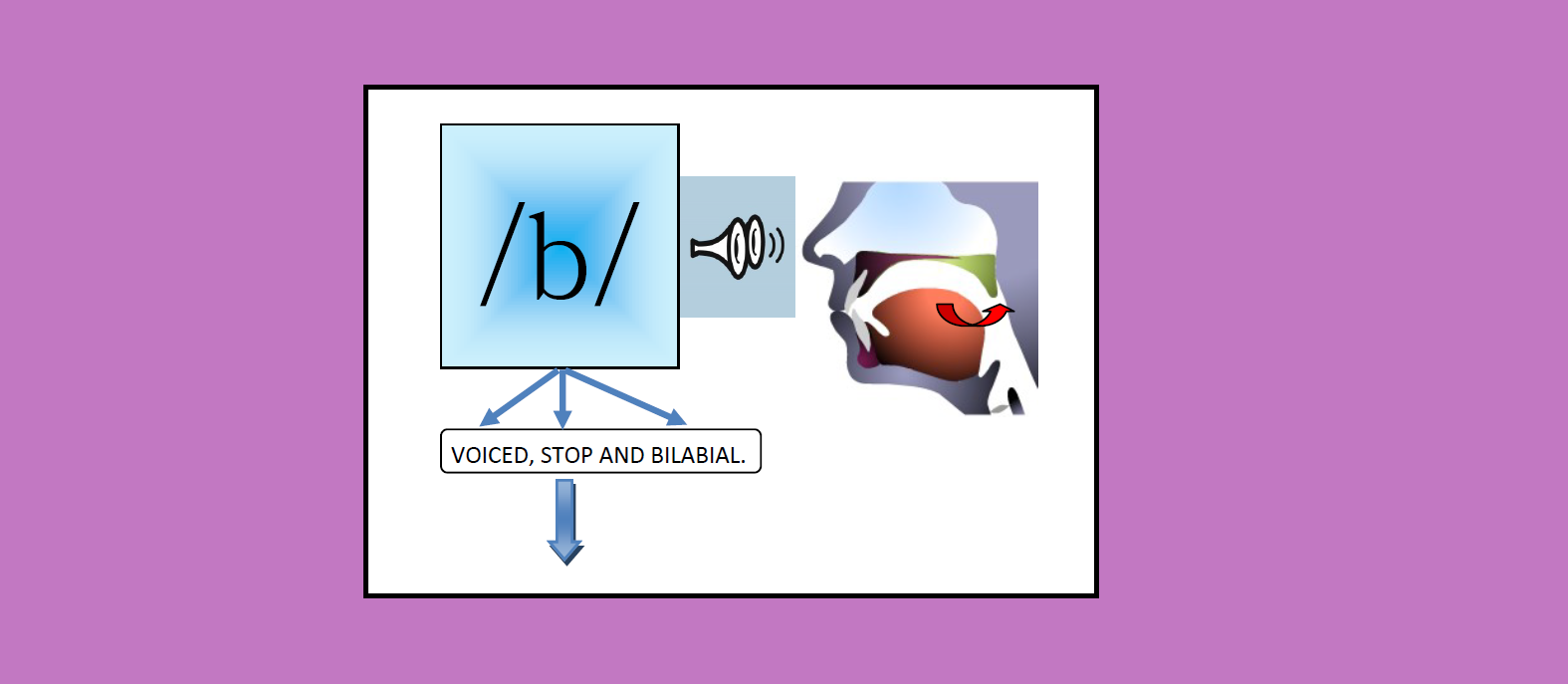 A GOOD ENGLISH PRONUNCIATION : CONSONANTS SOUNDS