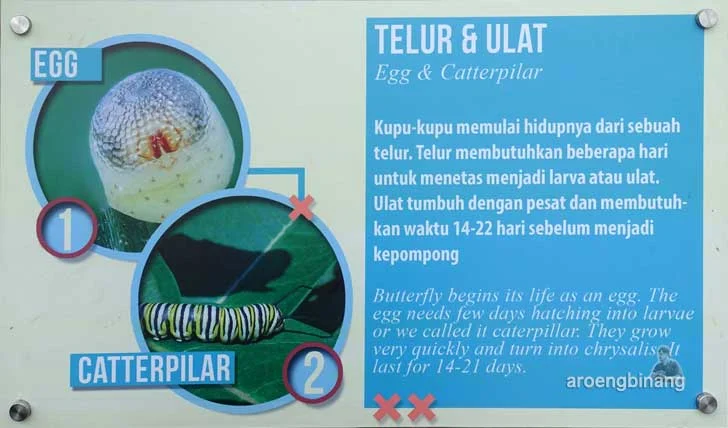 scientia square park tangerang