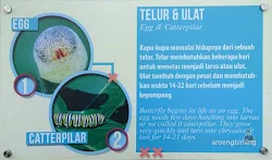 scientia square park tangerang