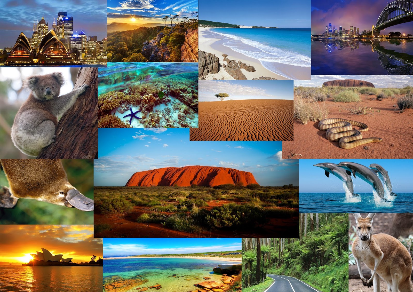Открой удивительный мир. Коллаж природа. Австралия коллаж. Австралия природа. Путешествие в мир природы.