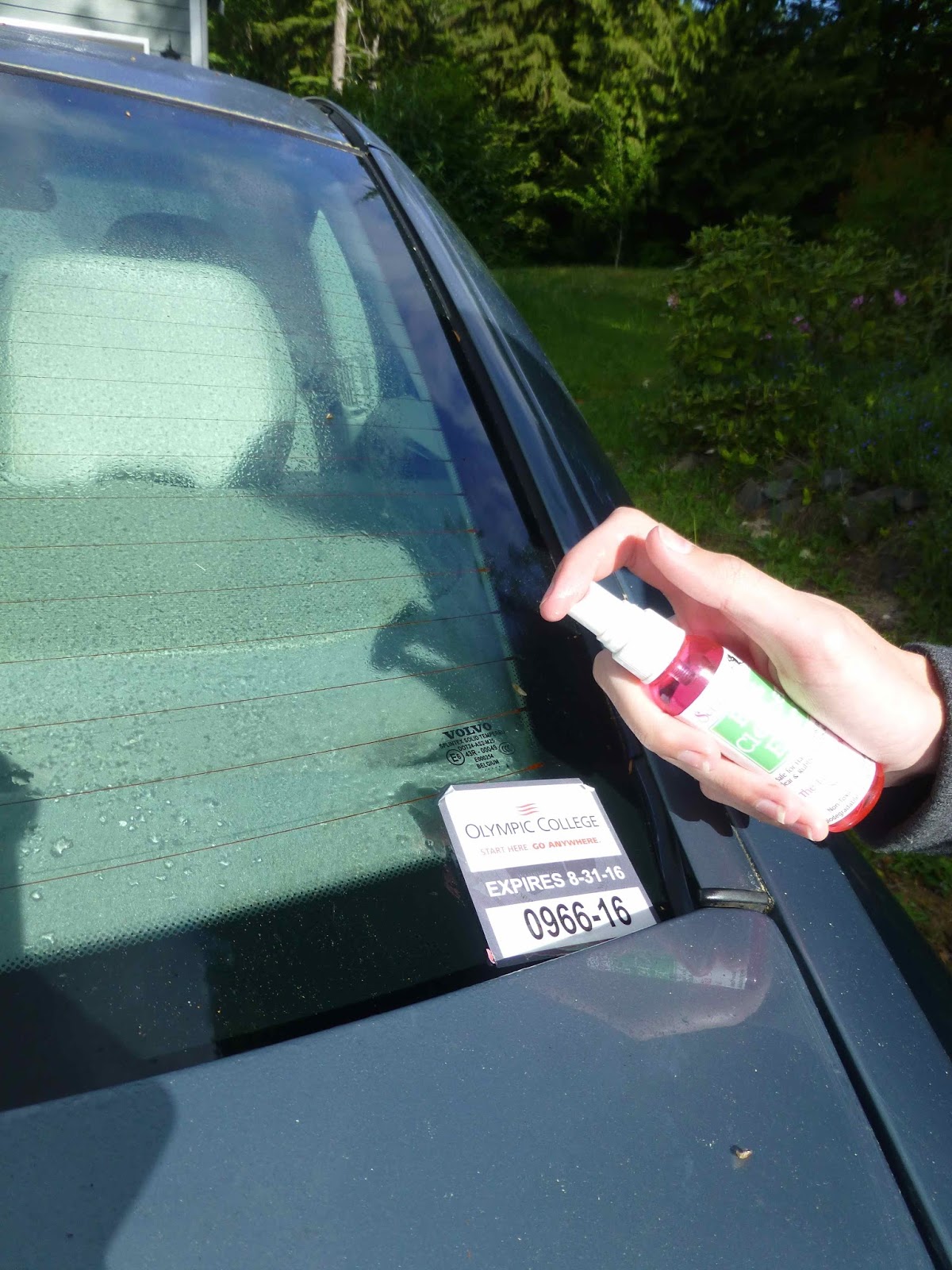 How To Remove Stickers From Car Window >> Scraperfect Removing Car Window Sticker Decal Sticky How To Remove Stickers From Car Window >> Scraperfect Removing Car Window Sticker Decal Sticky