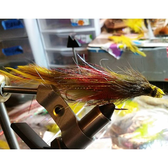 Fishing Northern Colorado Streamers and Midges