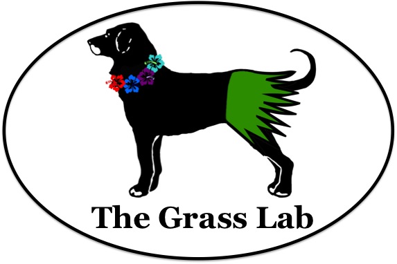 Grass Lab 2013