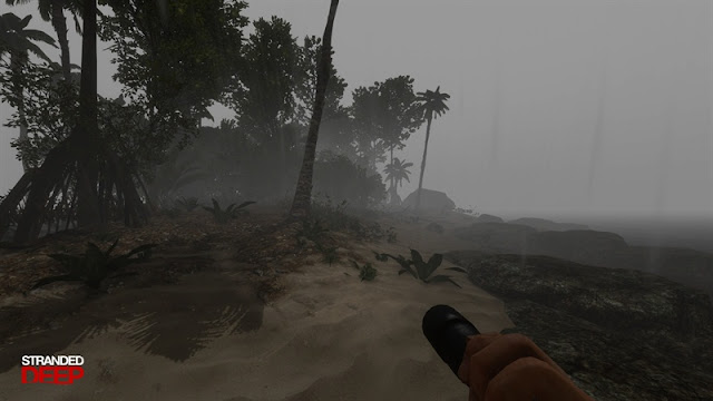 Stranded Deep Game Download Photo