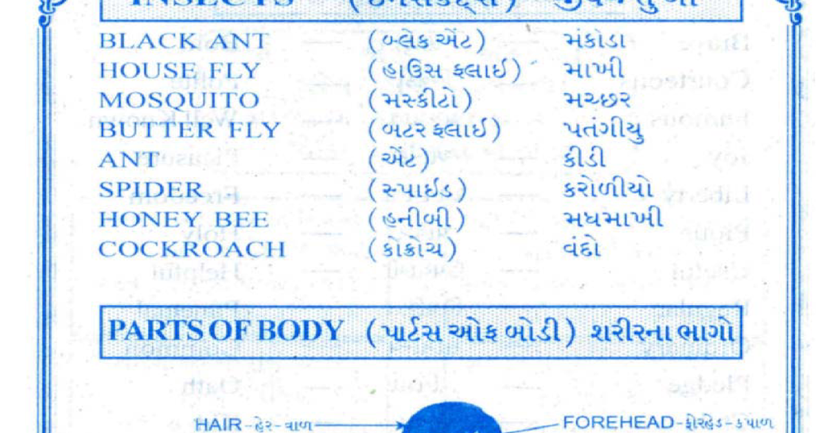 Internal Body Parts In Gujarati
