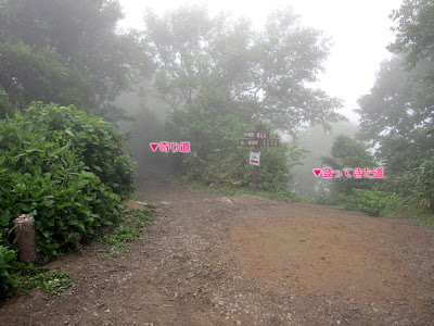 弥彦山　帰りは、ちょっと寄り道して