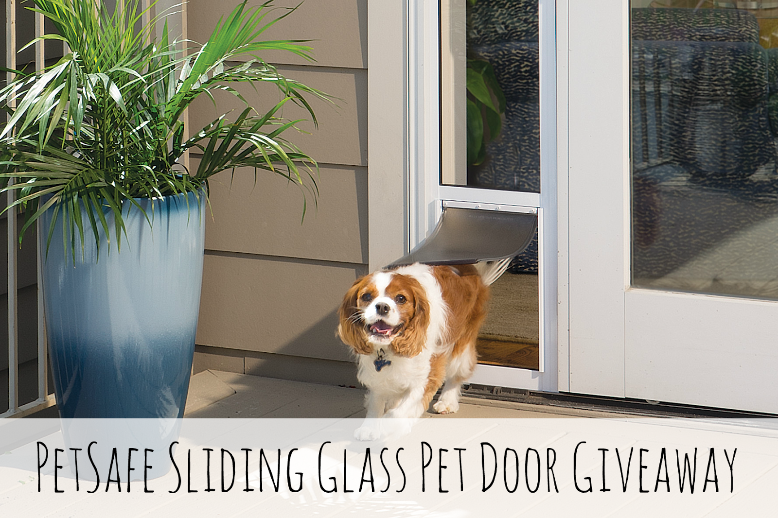 PetSafe Sliding Glass Pet Door Giveaway Pawsitively Pets