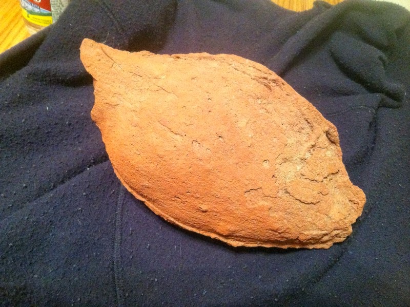 Ted Williams Lava Bombs