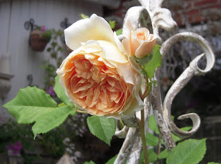 Crown Princess Margareta