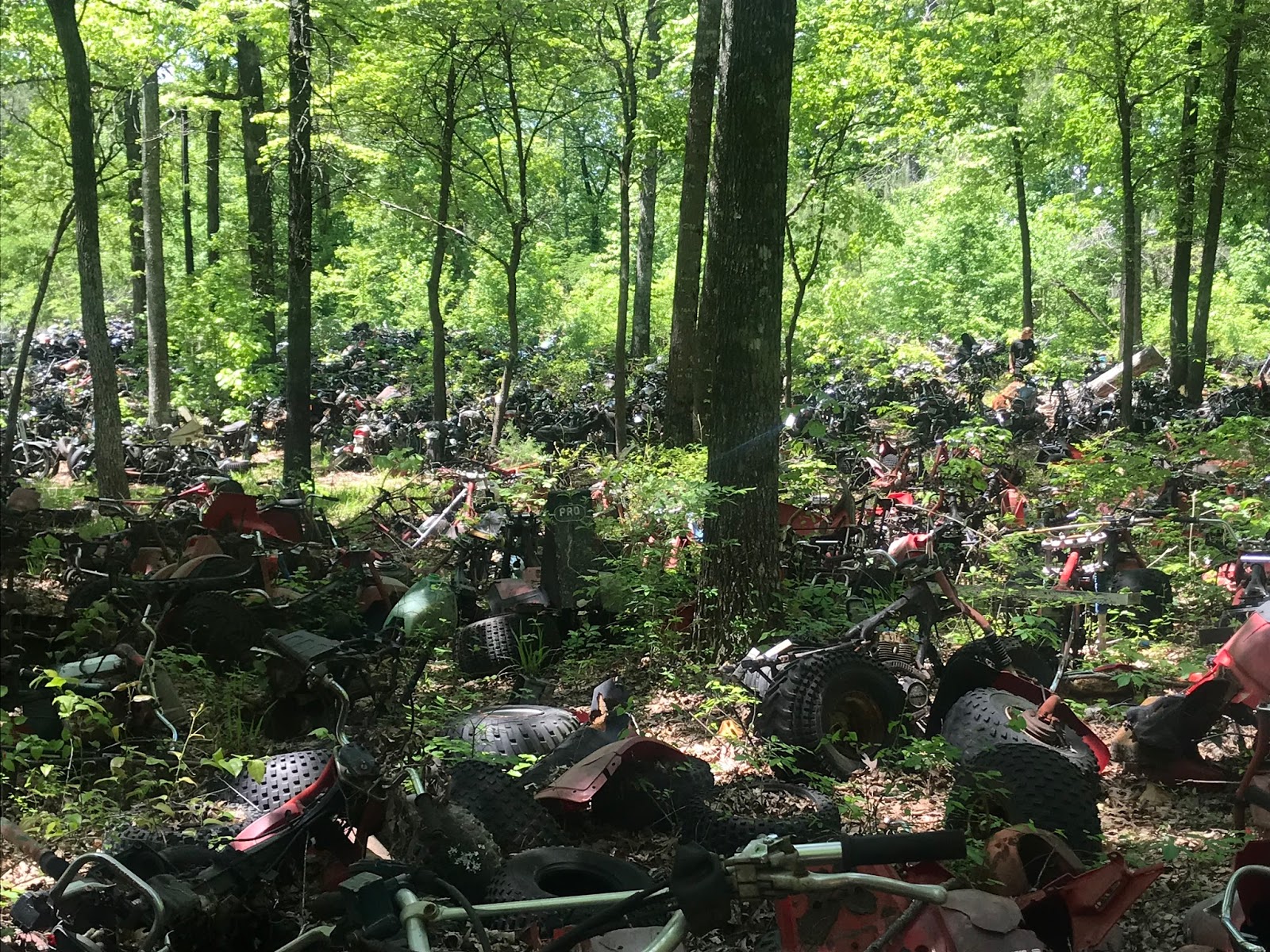 Biker Trash: Japanese Buffet