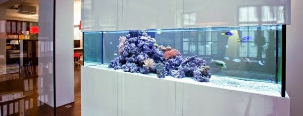 Use aquarium as a room divider – 26 examples.