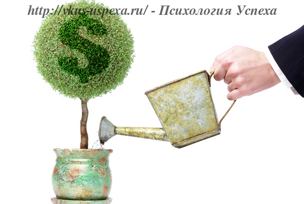 Обращение с деньгами, Денежное дерево, Как повысить свое финансовое состояние, финансовые советы