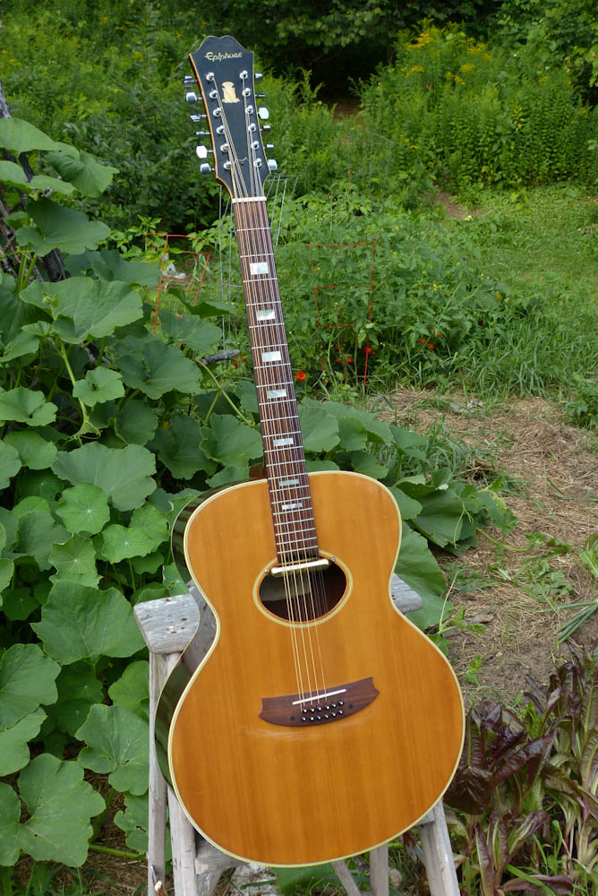 1970s Japanmade Epiphone Nova245 12String Guitar